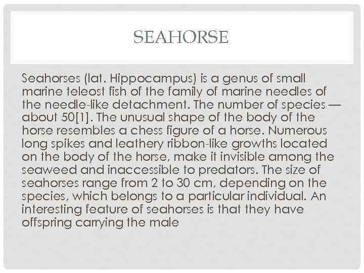 SEAHORSE Seahorses (lat. Hippocampus) is a genus of small marine teleost fish of the