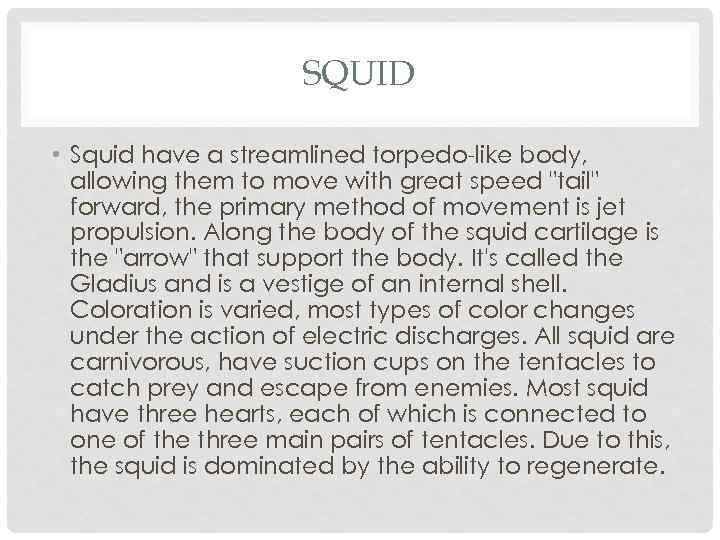 SQUID • Squid have a streamlined torpedo-like body, allowing them to move with great