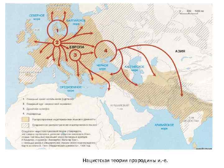 Нацистская теория прародины и. -е. 