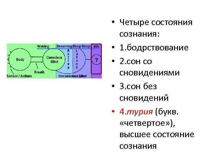 Сознание 7. 4 Состояния сознания. Четвертое состояние сознания. Состояние сознания: бодрствование, сон.. Турия четвертое состояние сознания.