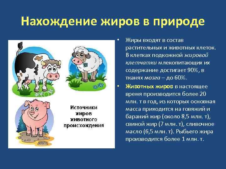 Нахождение жиров в природе • Жиры входят в состав растительных и животных клеток. В