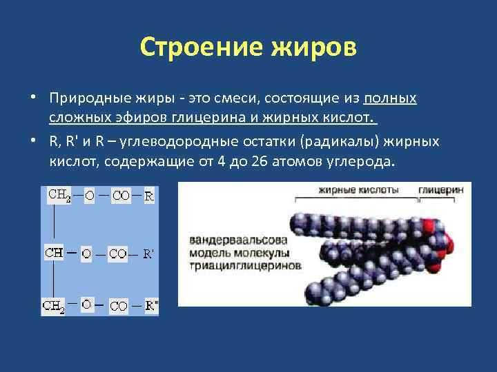 Строение жиров • Природные жиры - это смеси, состоящие из полных сложных эфиров глицерина