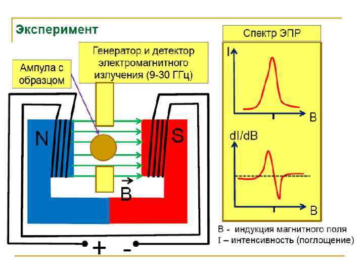 Блок схема спектрометра эпр особенности эксперимента достоинства и ограничения метода