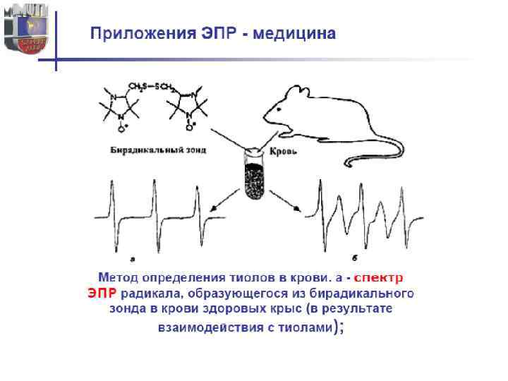 Блок схема спектрометра эпр особенности эксперимента достоинства и ограничения метода