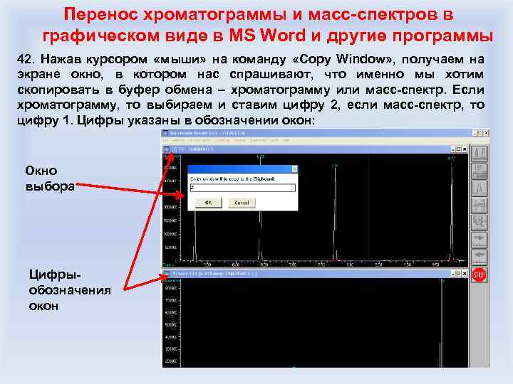 Перенос хроматограммы и масс-спектров в графическом виде в MS Word и другие программы 42.
