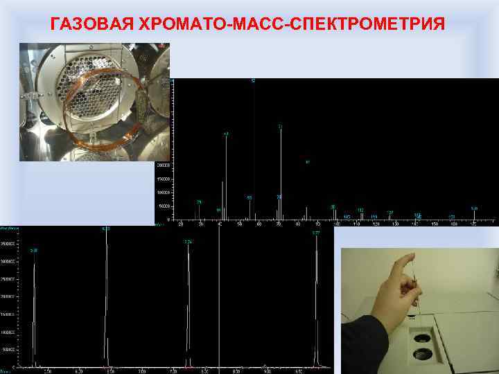 ГАЗОВАЯ ХРОМАТО-МАСС-СПЕКТРОМЕТРИЯ 