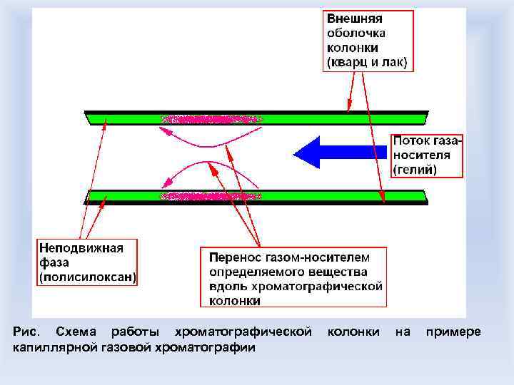Рис. Схема работы хроматографической колонки на примере капиллярной газовой хроматографии 