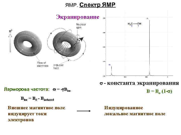 ЯМР. Спектр ЯМР Экранирование - константа Ларморова частота: w = -g. Bloc экранирования B