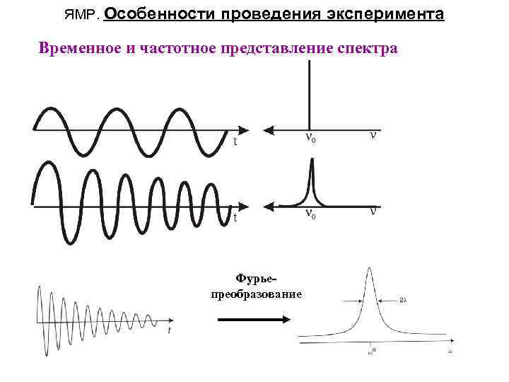 ЯМР. Особенности проведения эксперимента Временное и частотное представление спектра Фурьепреобразование 