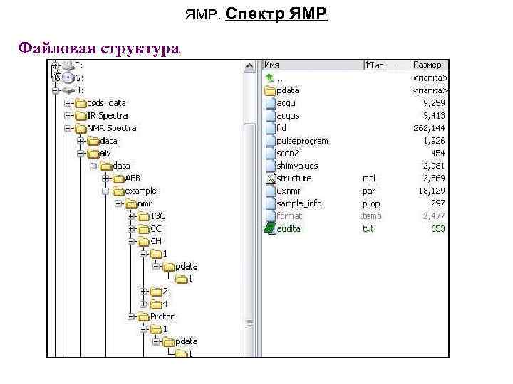 ЯМР. Спектр Файловая структура ЯМР 