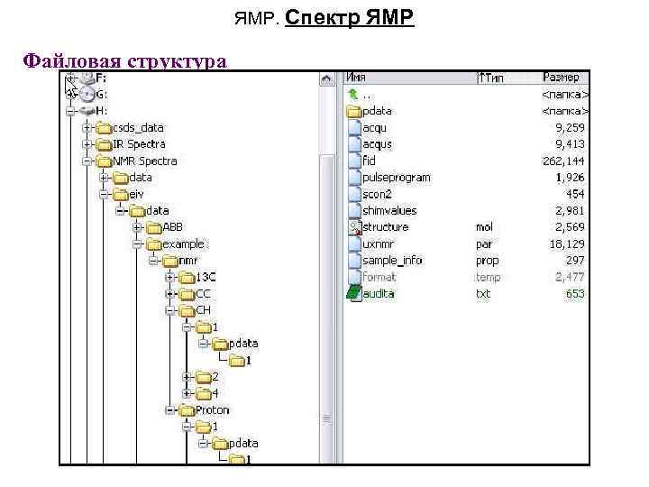 ЯМР. Спектр Файловая структура ЯМР 