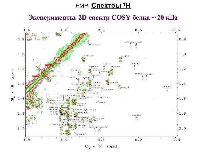 ЯМР. Спектры 1 H Эксперименты. 2 D спектр COSY белка ~ 20 к. Да