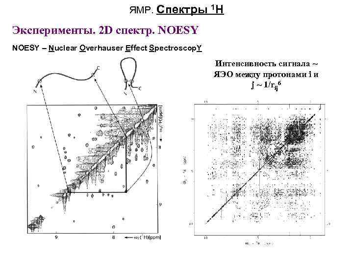 ЯМР. Спектры 1 H Эксперименты. 2 D спектр. NOESY – Nuclear Overhauser Effect Spectroscop.