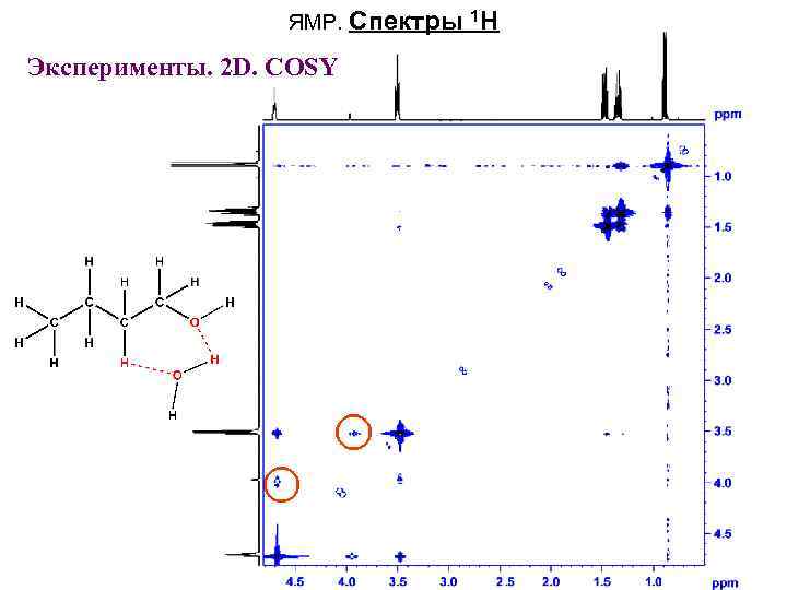 ЯМР. Спектры Эксперименты. 2 D. СOSY 1 H 