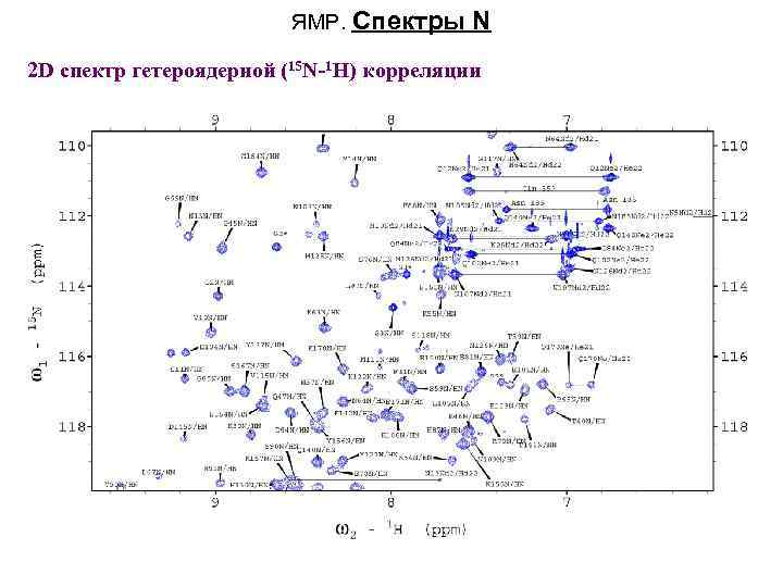 ЯМР. Спектры N 2 D спектр гетероядерной (15 N-1 H) корреляции 