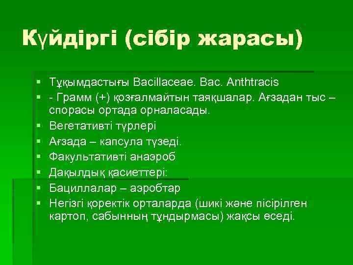 Күйдіргі (сібір жарасы) § Тұқымдастығы Bacillaceae. Bac. Anthtracis § - Грамм (+) қозғалмайтын таяқшалар.