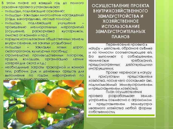 В этом плане на каждый год до полного освоения проекта устанавливают: - площади, подлежащие