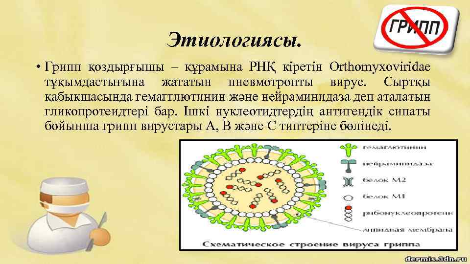 Нейраминидазы гриппа