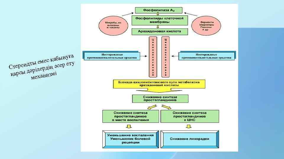 а абынуғ ес қ дты ем ң әсер ету Стерои рілерді дә мі қарсы
