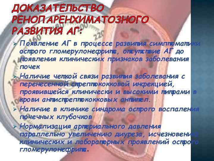 ДОКАЗАТЕЛЬСТВО РЕНОПАРЕНХИМАТОЗНОГО РАЗВИТИЯ АГ: Ø Ø Появление АГ в процессе развития симптоматики острого гломерулонефрита,
