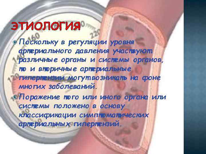 ЭТИОЛОГИЯ Поскольку в регуляции уровня артериального давления участвуют различные органы и системы органов, то