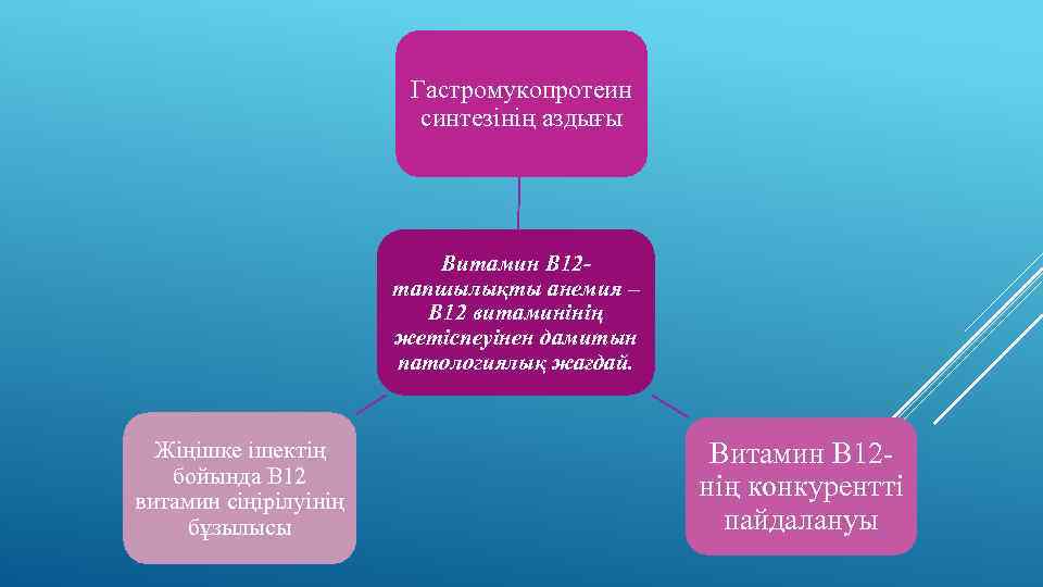 Гастромукопротеин синтезінің аздығы Витамин В 12 тапшылықты анемия – В 12 витаминінің жетіспеуінен дамитын