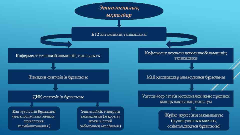 Этиологиялық ықпалдар В 12 витаминнің тапшылығы Кофермент метилкобаламиннің тапшылығы Кофермент дезоксиаденозилкобаламиннің тапшылығы Тимидин синтезінің