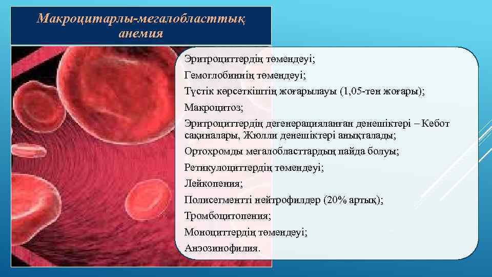 Макроцитарлы-мегалобласттық анемия Эритроциттердің төмендеуі; Гемоглобиннің төмендеуі; Түстік көрсеткіштің жоғарылауы (1, 05 -тен жоғары); Макроцитоз;