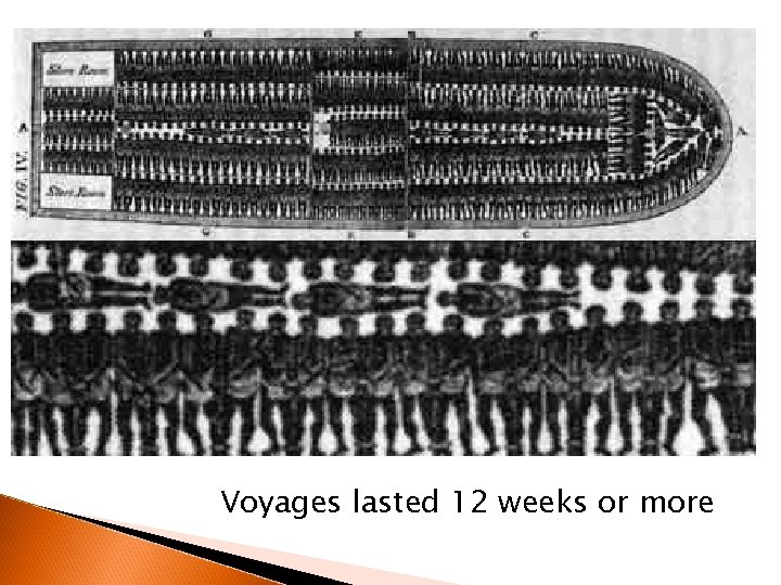 Voyages lasted 12 weeks or more 