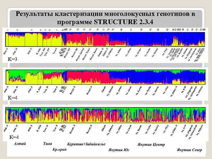 Результаты кластеризации многолокусных генотипов в программе STRUCTURE 2. 3. 4 K=3 K=4 