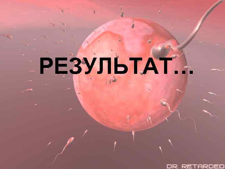 РЕЗУЛЬТАТ… 