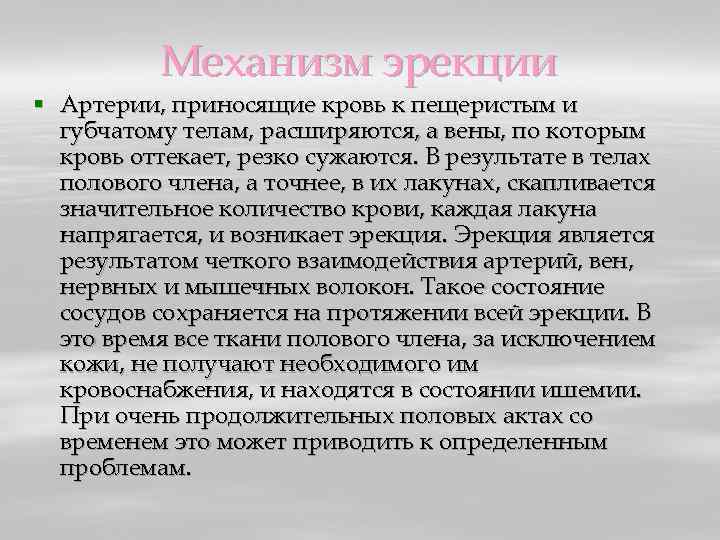 Механизм эрекции § Артерии, приносящие кровь к пещеристым и губчатому телам, расширяются, а вены,