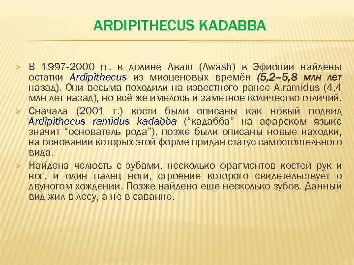 ARDIPITHECUS KADABBA Ø Ø Ø В 1997 -2000 гг. в долине Аваш (Awash) в