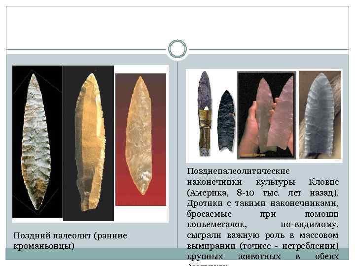 Поздний палеолит (ранние кроманьонцы) Позднепалеолитические наконечники культуры Кловис (Америка, 8 -10 тыс. лет назад).