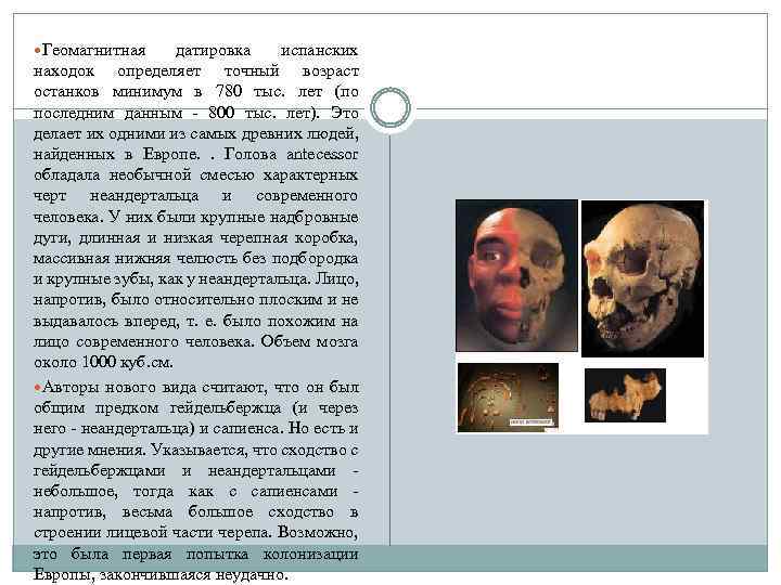  Геомагнитная датировка испанских находок определяет точный возраст останков минимум в 780 тыс. лет