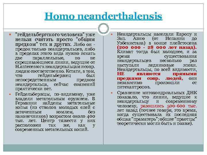 Homo neanderthalensis 
