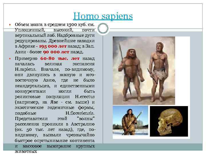 Программа homo sapiens. Человек разумный объем мозга. Homo sapiens sapiens объем мозга. Хомосапиенс объем мозга. Человек разумный объем мозга рост.