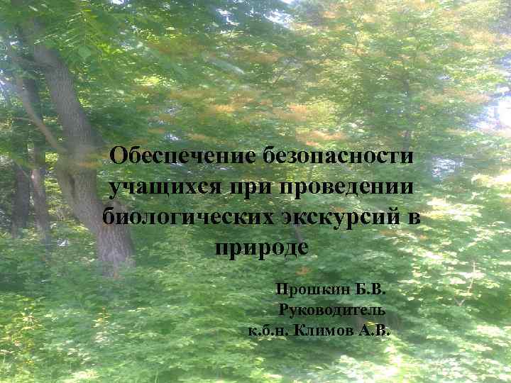 Обеспечение безопасности учащихся при проведении биологических экскурсий в природе Прошкин Б. В. Руководитель к.