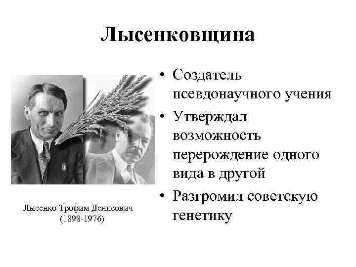 Лысенковщина Лысенко Трофим Денисович (1898 -1976) • Создатель псевдонаучного учения • Утверждал возможность перерождение