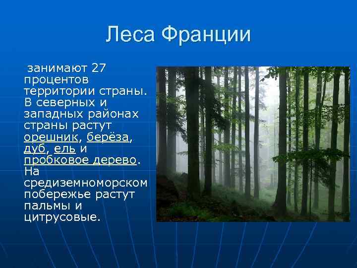 Леса Франции занимают 27 процентов территории страны. В северных и западных районах страны растут