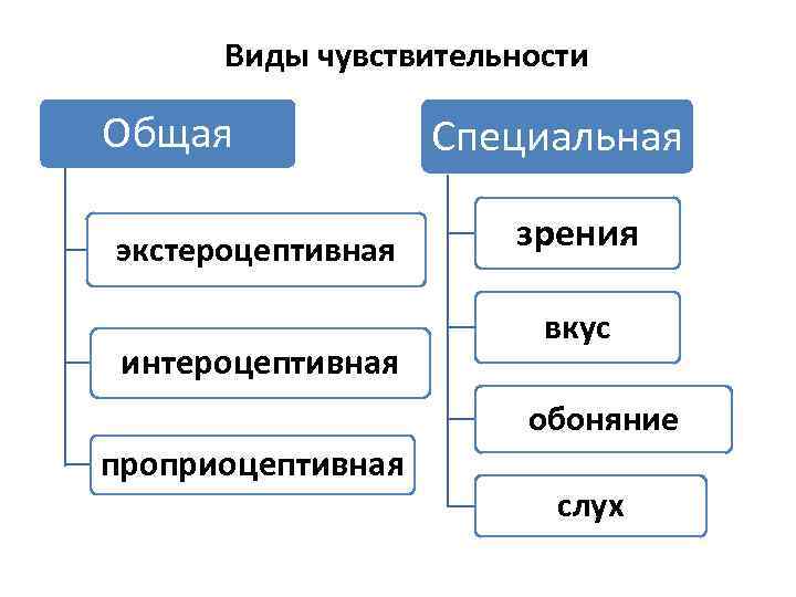 Виды чувствительности