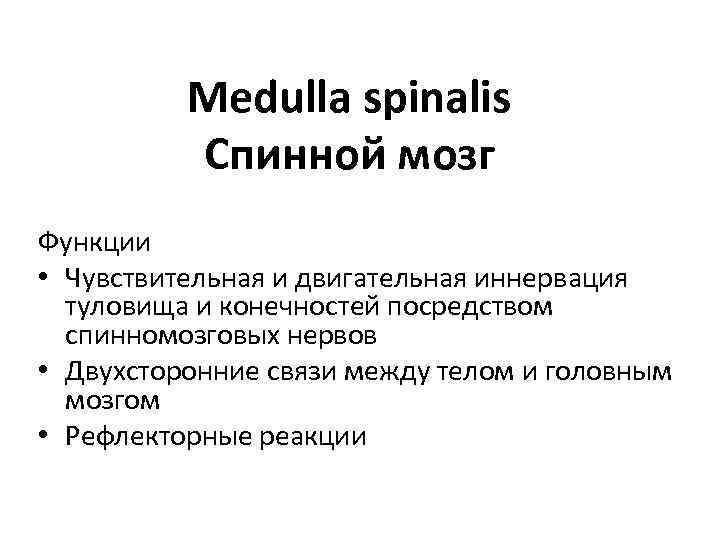 Medulla spinalis Спинной мозг Функции • Чувствительная и двигательная иннервация туловища и конечностей посредством
