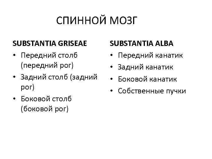 SUBSTANTIA GRISEAE • Передний столб (передний рог) • Задний столб (задний рог) • Боковой