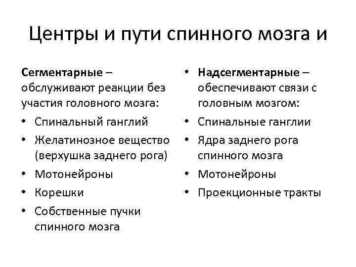 Центры и пути спинного мозга и Сегментарные – обслуживают реакции без участия головного мозга: