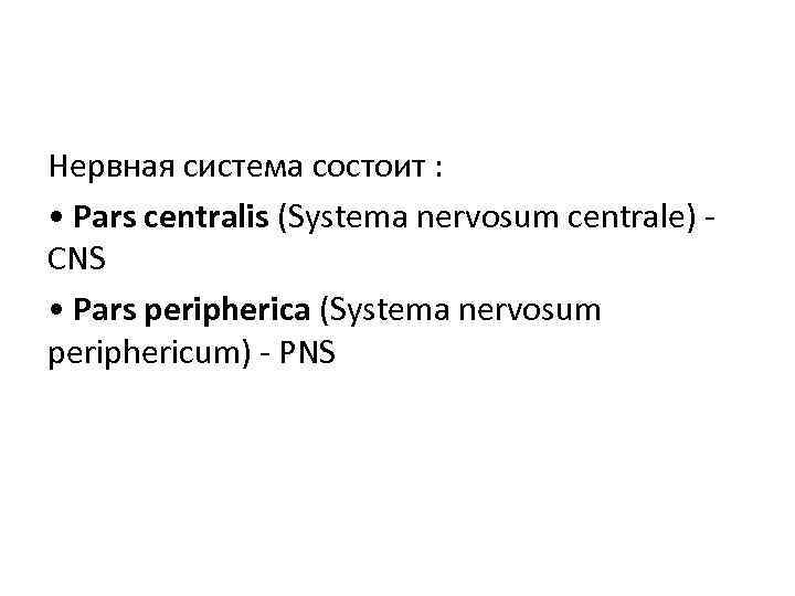 Нервная система состоит : • Pars centralis (Systema nervosum centrale) CNS • Pars peripherica