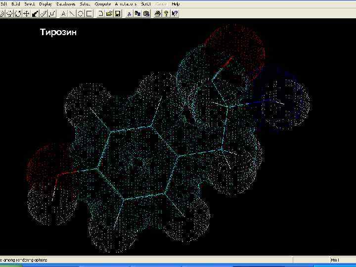  Тирозин Білки – молекулярні конструкції Амінокислоти 