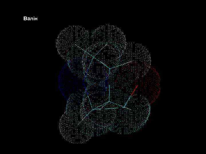  Валін Білки – молекулярні конструкції Амінокислоти 