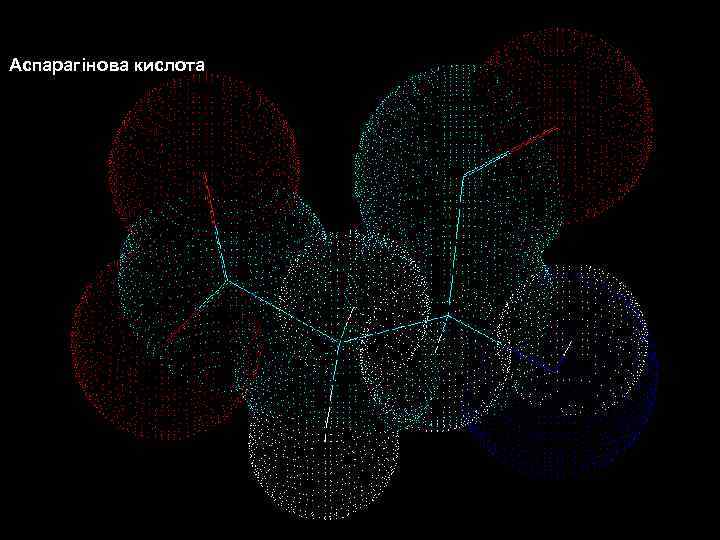  Білки – молекулярні конструкції Амінокислоти Аспарагінова кислота 