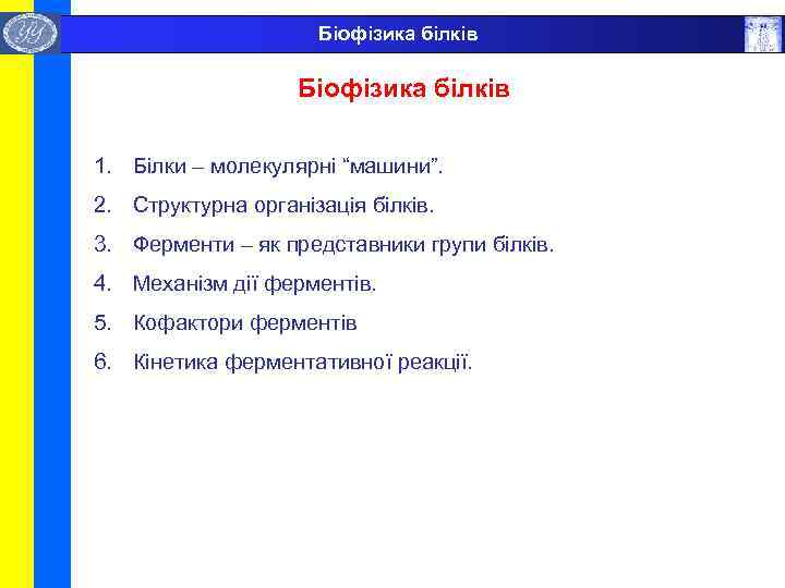  Біофізика білків 1. Білки – молекулярні “машини”. 2. Структурна організація білків. 3. Ферменти