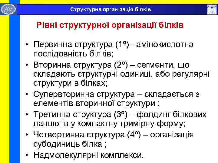  Структурна організація білків Рівні структурної організації білків • Первинна структура (1º) - амінокислотна
